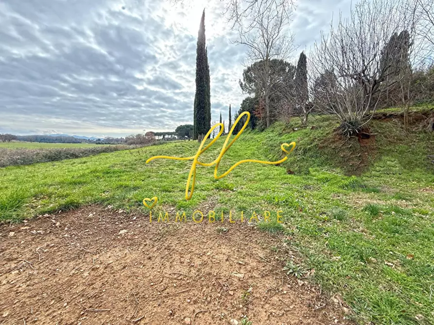 Immagine 4 di Terreno agricolo in vendita  a Cecina
