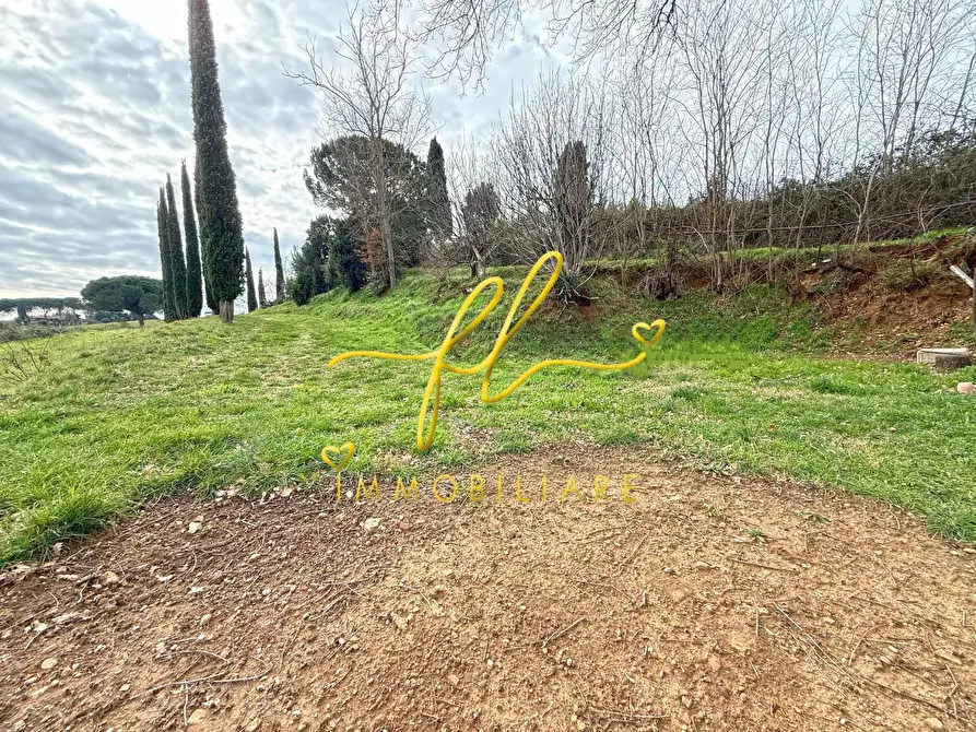 Immagine 2 di Terreno agricolo in vendita  a Cecina