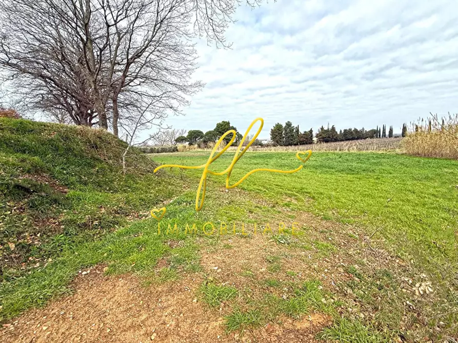 terreno agricolo in vendita a Cecina