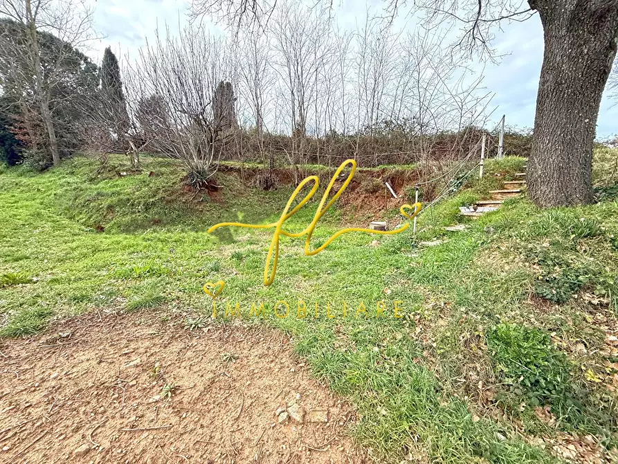 Immagine 3 di Terreno agricolo in vendita  a Cecina
