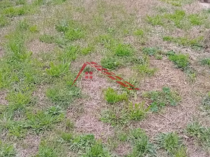 Immagine 17 di Appartamento in vendita  a Livorno