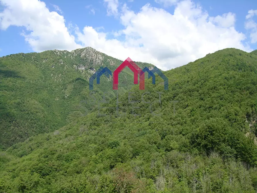 Immagine 29 di Casa semindipendente in vendita  a Bagni Di Lucca