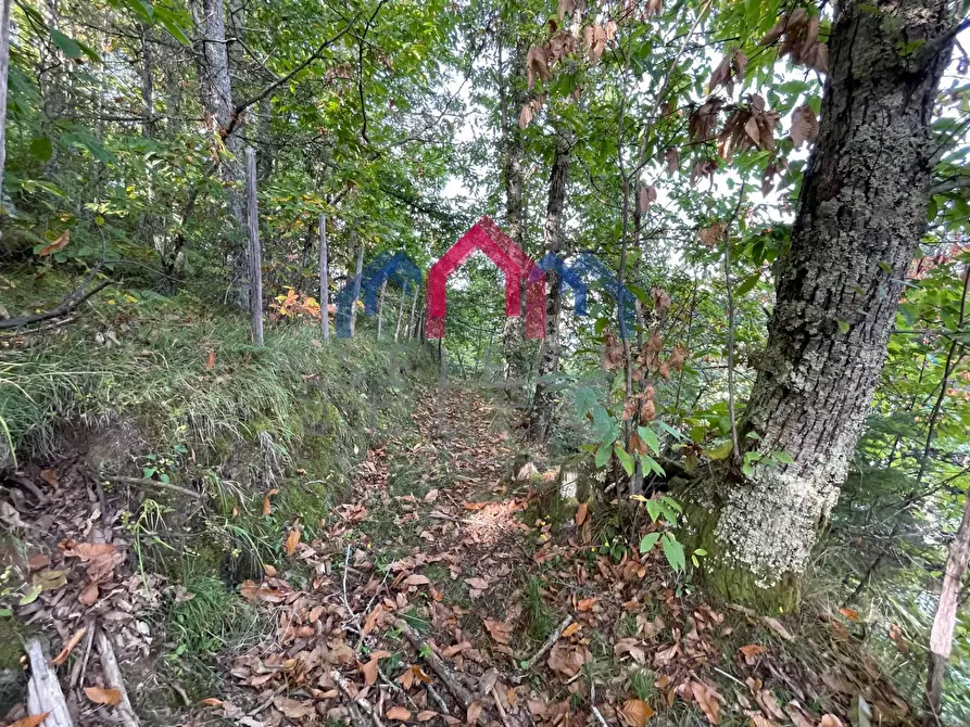 Immagine 31 di Casa semindipendente in vendita  a Bagni Di Lucca