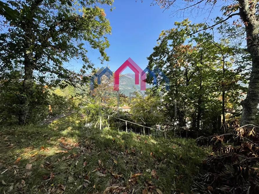 Immagine 33 di Casa semindipendente in vendita  a Bagni Di Lucca