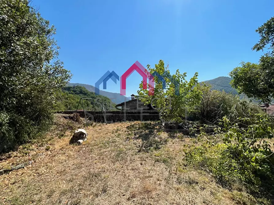 Immagine 74 di Villa in vendita  a Pescaglia