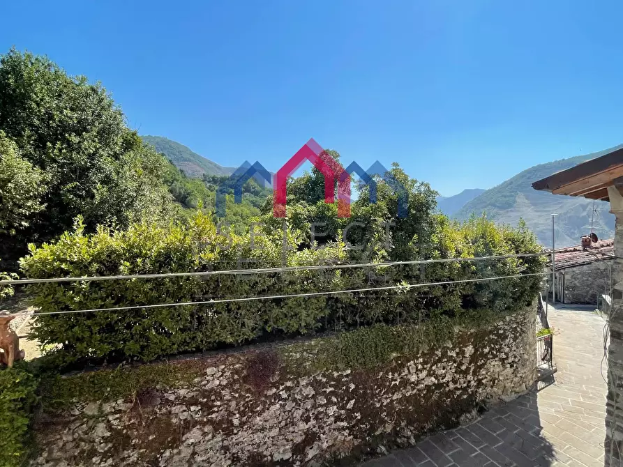 Immagine 70 di Villa in vendita  a Pescaglia