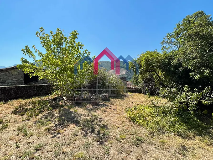 Immagine 83 di Villa in vendita  a Pescaglia