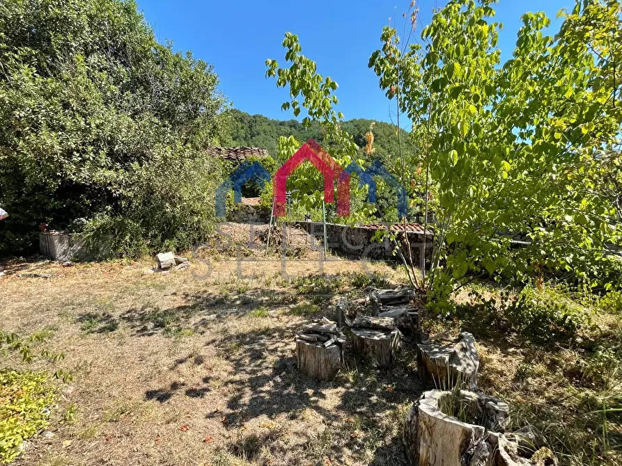 Immagine 71 di Villa in vendita  a Pescaglia