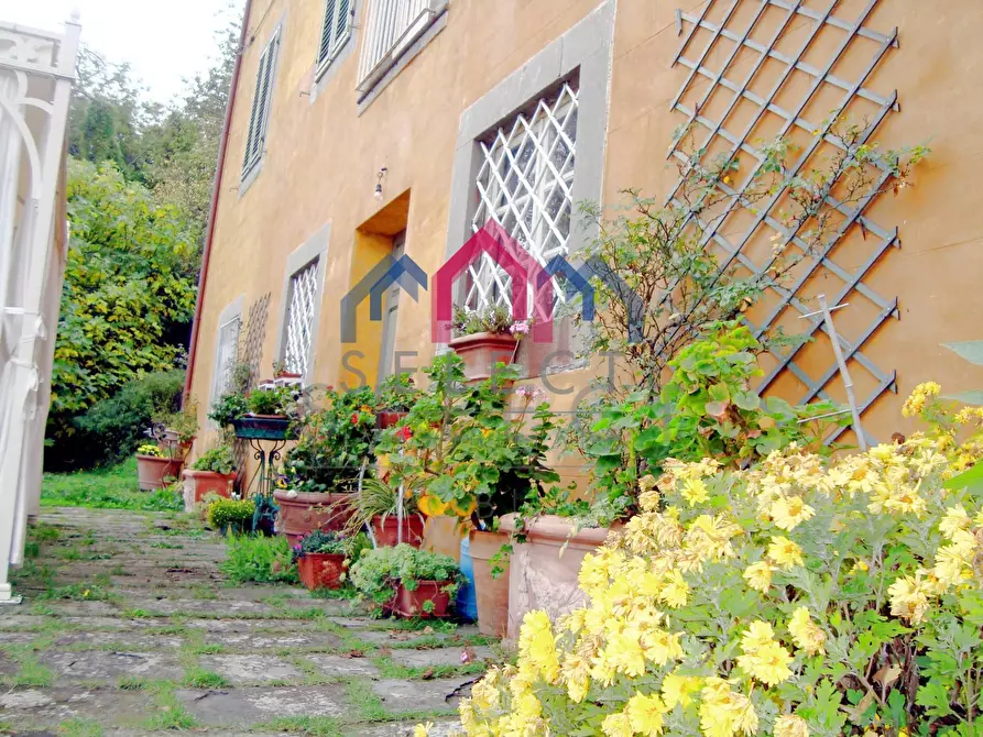Immagine 30 di Villa in vendita  a Coreglia Antelminelli
