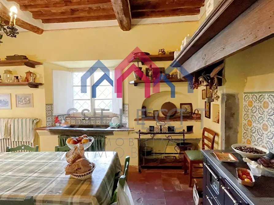 Immagine 13 di Villa in vendita  a Coreglia Antelminelli