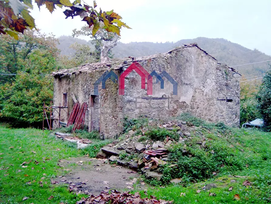 Immagine 37 di Villa in vendita  a Coreglia Antelminelli