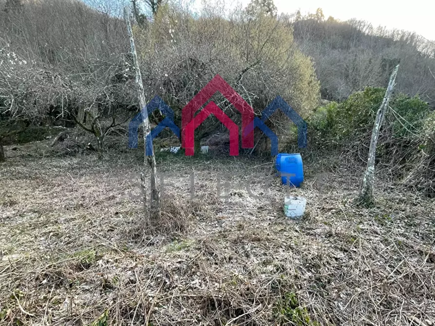 Immagine 23 di Casa semindipendente in vendita  a Borgo A Mozzano