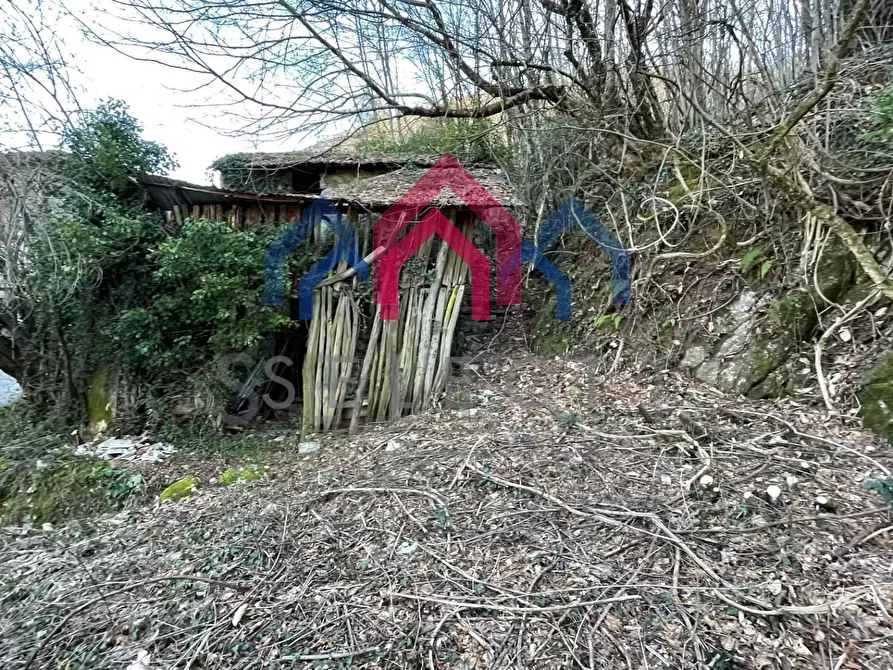 Immagine 73 di Casa semindipendente in vendita  a Borgo A Mozzano