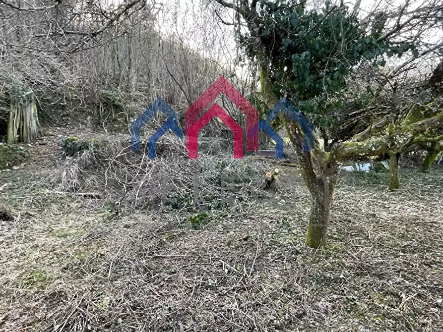 Immagine 21 di Casa semindipendente in vendita  a Borgo A Mozzano