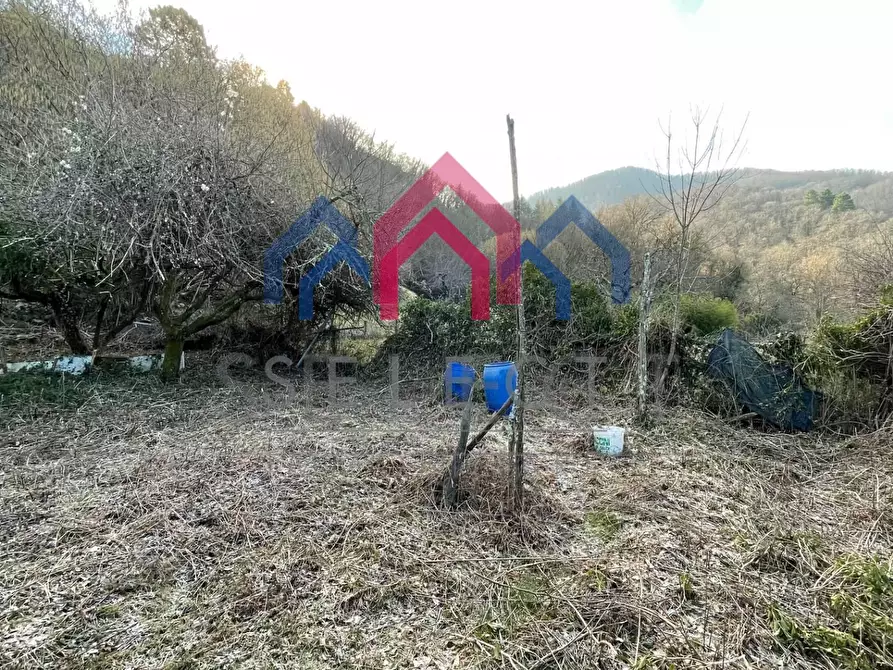 Immagine 29 di Casa semindipendente in vendita  a Borgo A Mozzano