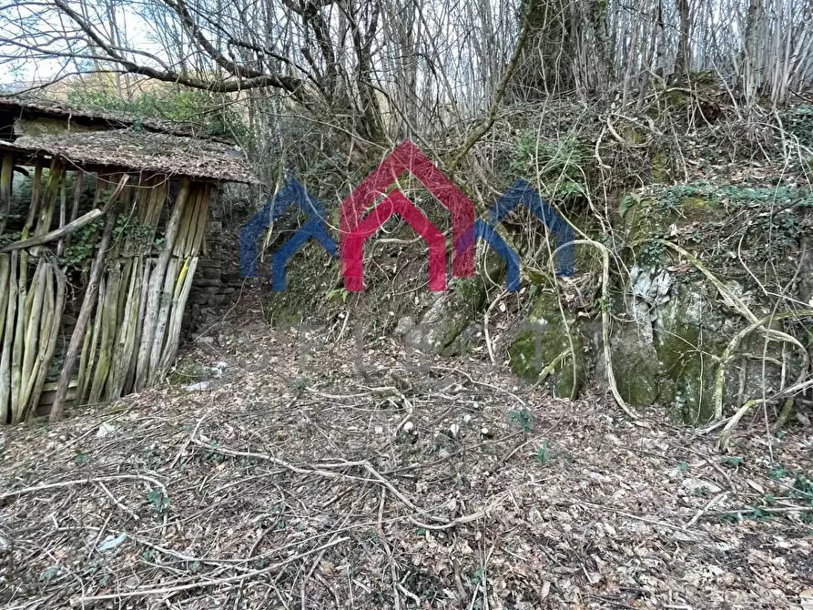 Immagine 72 di Casa semindipendente in vendita  a Borgo A Mozzano