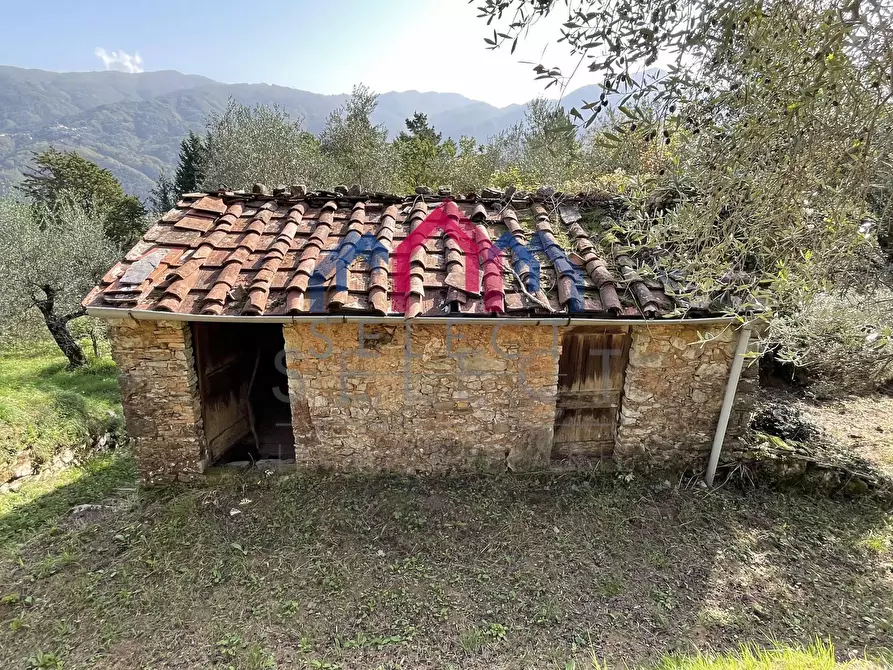 Immagine 35 di Rustico / casale in vendita  a Borgo A Mozzano