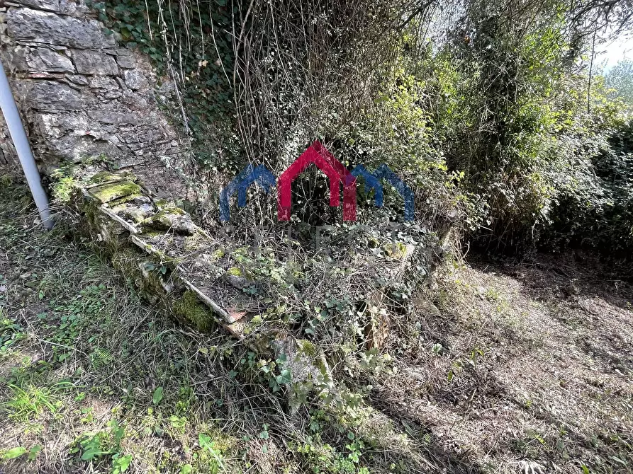 Immagine 23 di Rustico / casale in vendita  a Borgo A Mozzano