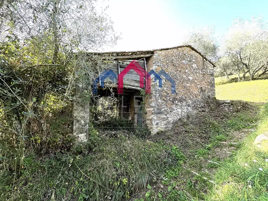Immagine 9 di Rustico / casale in vendita  a Borgo A Mozzano