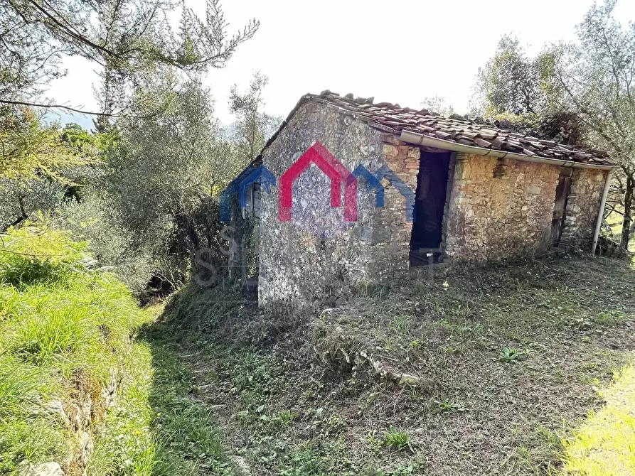 Immagine 2 di Rustico / casale in vendita  a Borgo A Mozzano