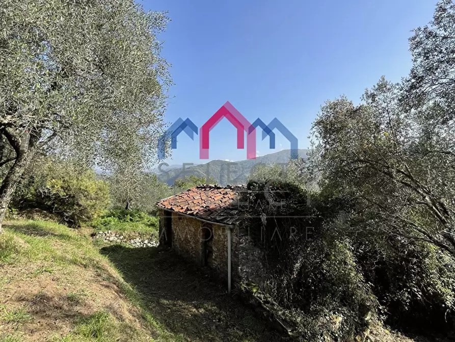 Immagine 31 di Rustico / casale in vendita  a Borgo A Mozzano