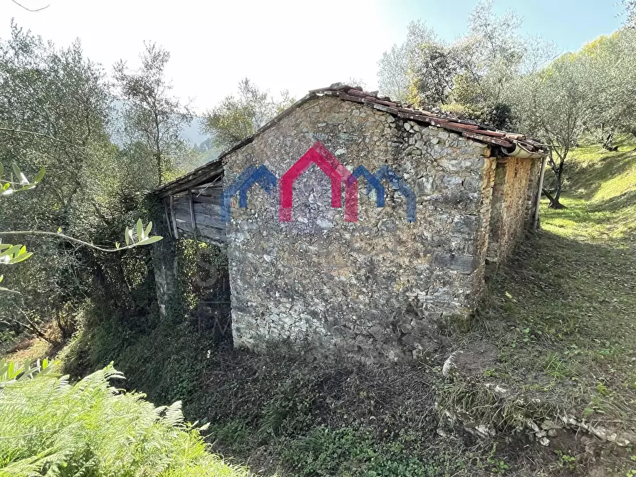 Immagine 1 di Rustico / casale in vendita  a Borgo A Mozzano