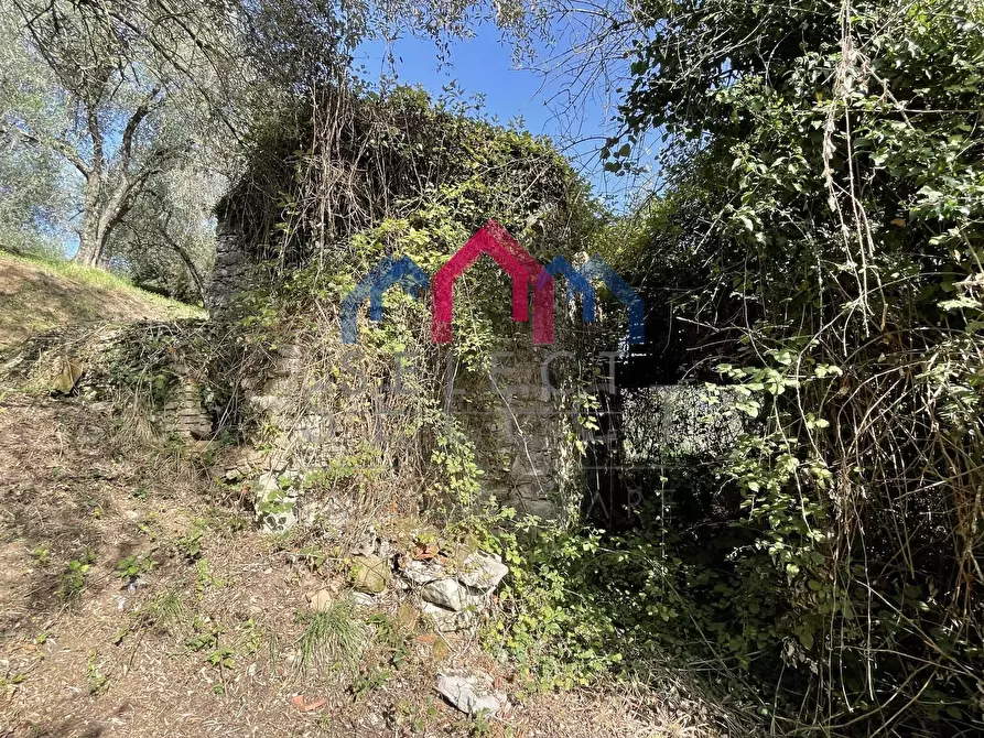 Immagine 24 di Rustico / casale in vendita  a Borgo A Mozzano