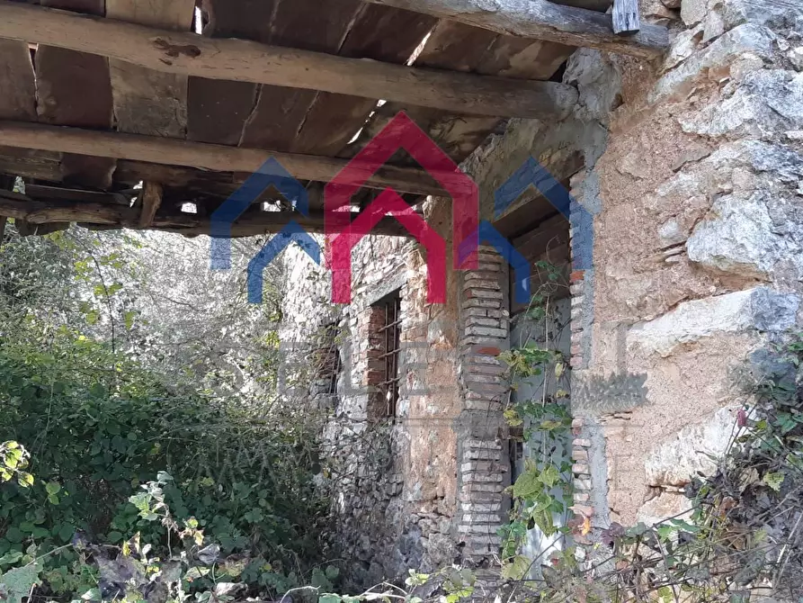 Immagine 46 di Rustico / casale in vendita  a Borgo A Mozzano
