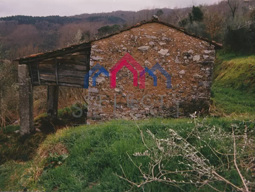 Immagine 53 di Rustico / casale in vendita  a Borgo A Mozzano