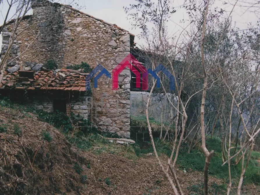 Immagine 52 di Rustico / casale in vendita  a Borgo A Mozzano