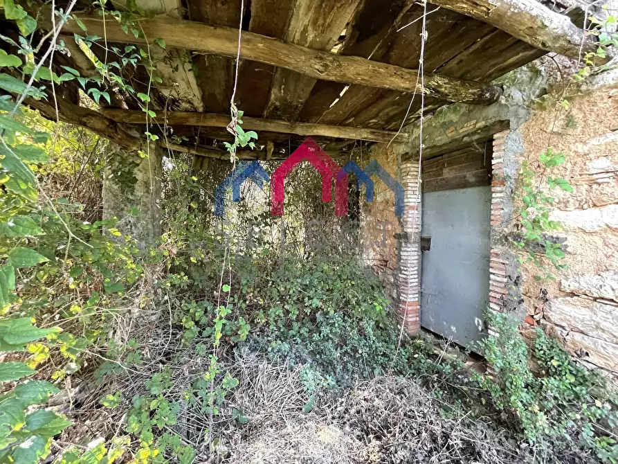 Immagine 13 di Rustico / casale in vendita  a Borgo A Mozzano