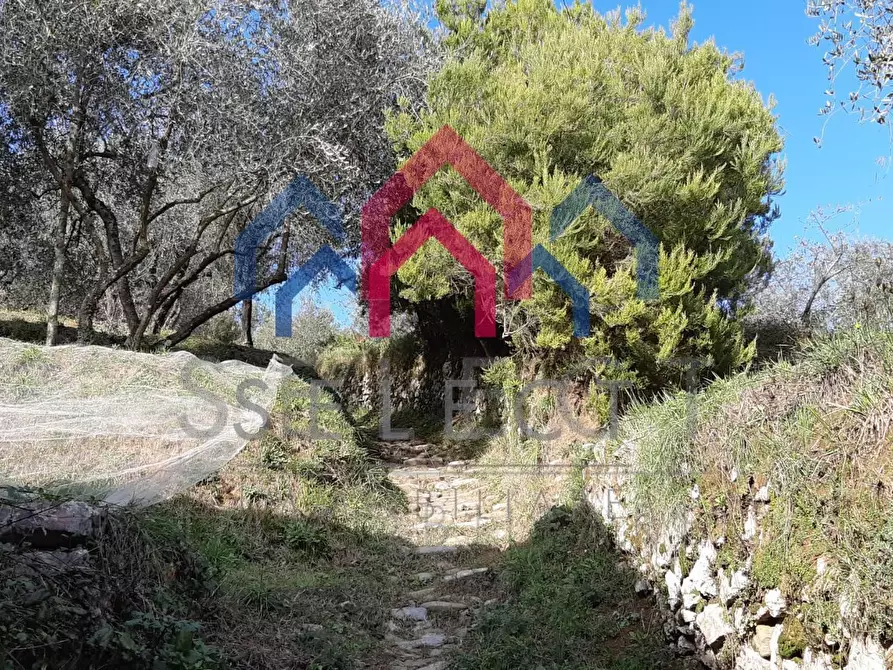 Immagine 51 di Rustico / casale in vendita  a Borgo A Mozzano