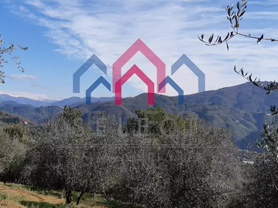 Immagine 42 di Rustico / casale in vendita  a Borgo A Mozzano