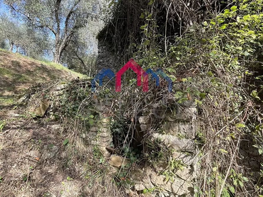 Immagine 27 di Rustico / casale in vendita  a Borgo A Mozzano