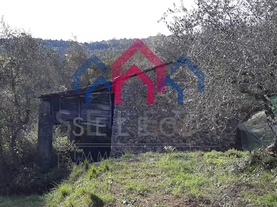 Immagine 40 di Rustico / casale in vendita  a Borgo A Mozzano