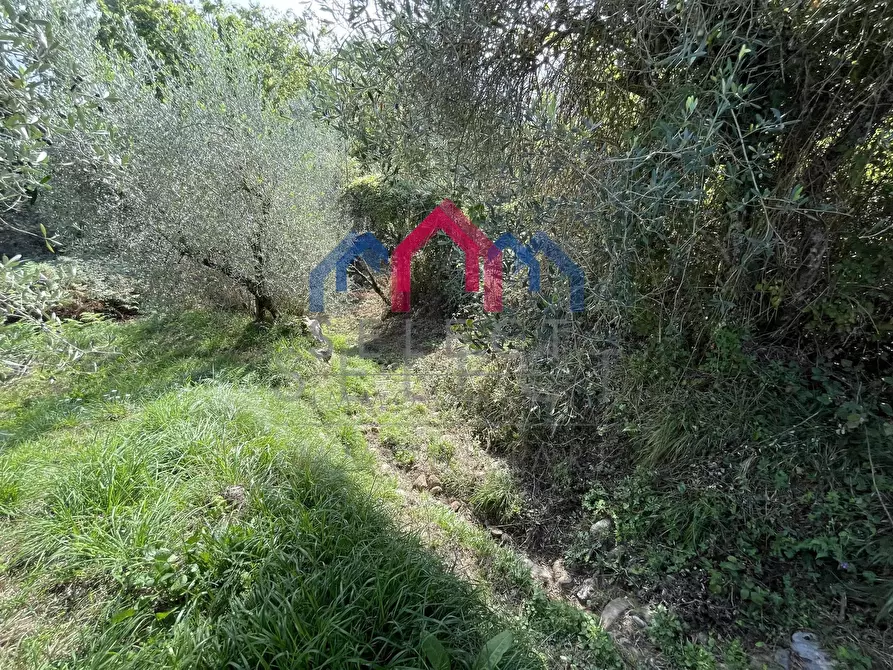 Immagine 11 di Rustico / casale in vendita  a Borgo A Mozzano