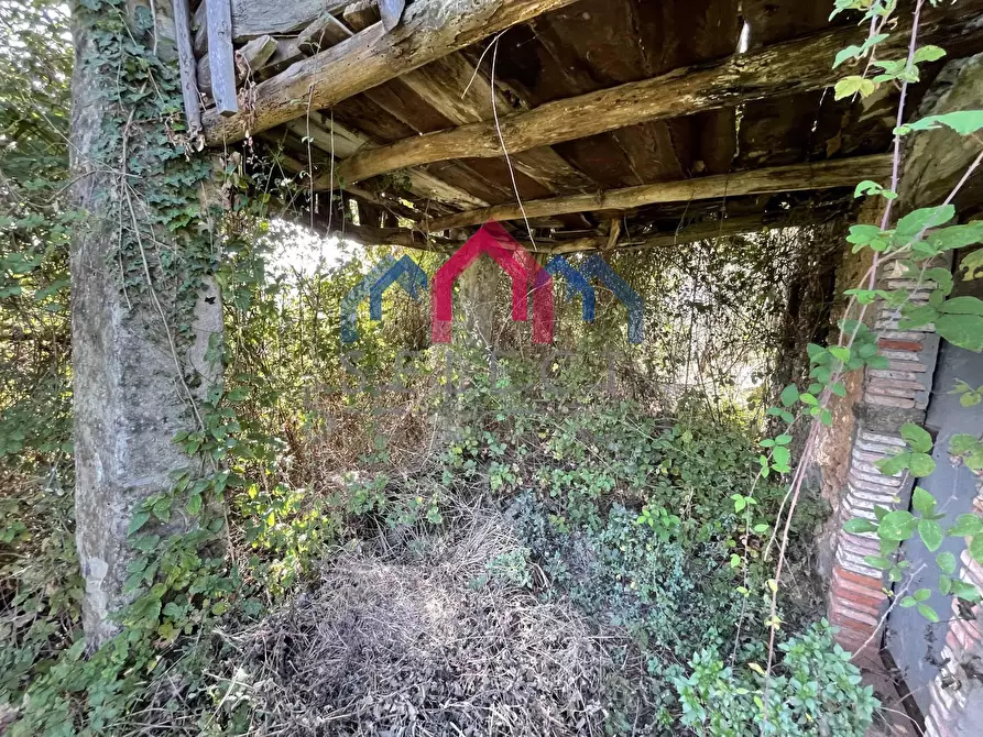 Immagine 15 di Rustico / casale in vendita  a Borgo A Mozzano