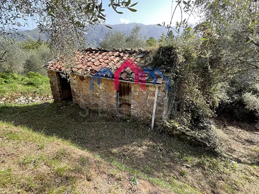 Immagine 32 di Rustico / casale in vendita  a Borgo A Mozzano