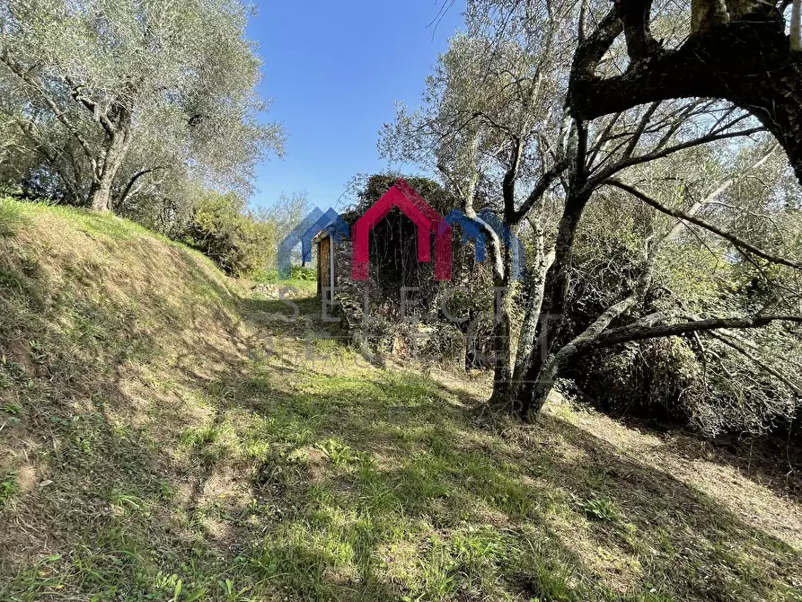 Immagine 28 di Rustico / casale in vendita  a Borgo A Mozzano