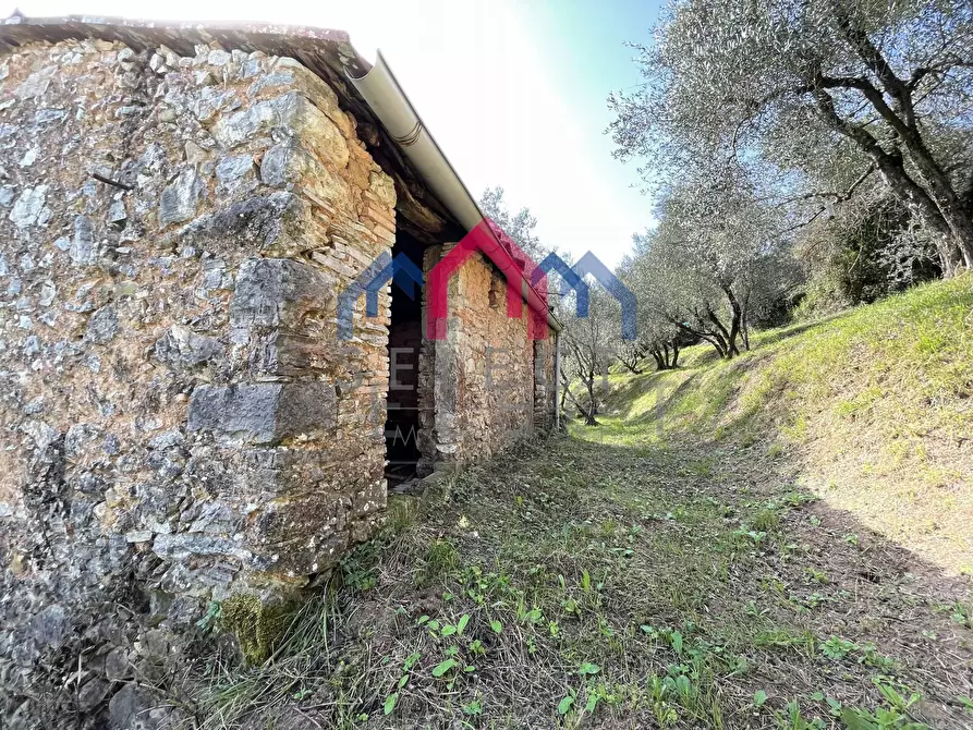 Immagine 16 di Rustico / casale in vendita  a Borgo A Mozzano