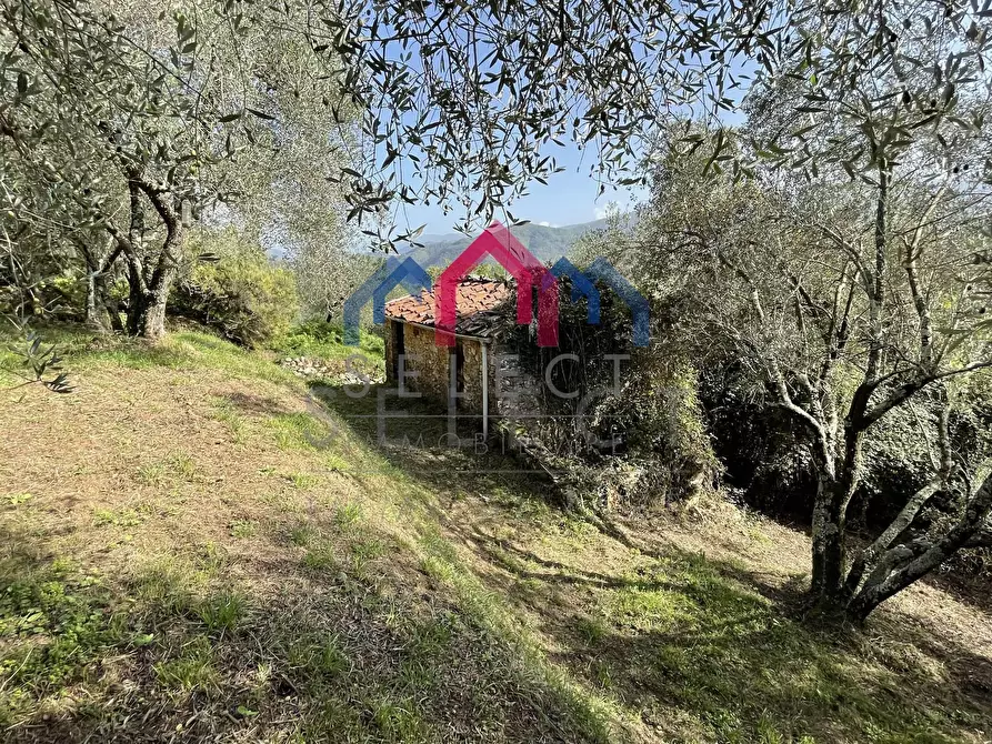 Immagine 30 di Rustico / casale in vendita  a Borgo A Mozzano