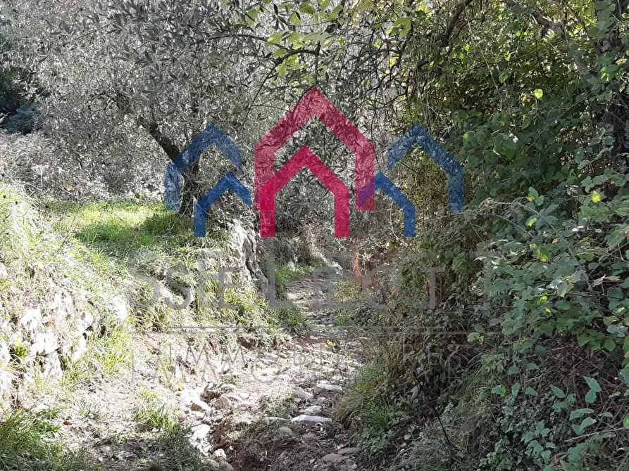 Immagine 50 di Rustico / casale in vendita  a Borgo A Mozzano