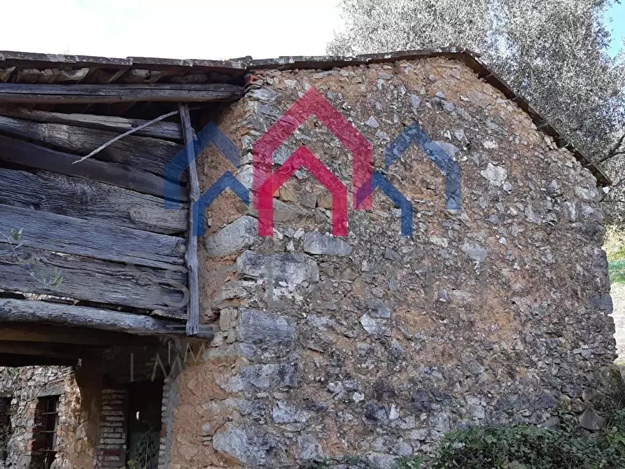 Immagine 49 di Rustico / casale in vendita  a Borgo A Mozzano