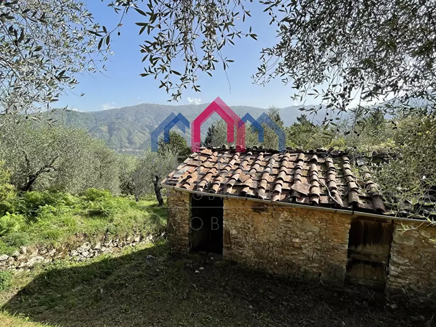 Immagine 33 di Rustico / casale in vendita  a Borgo A Mozzano