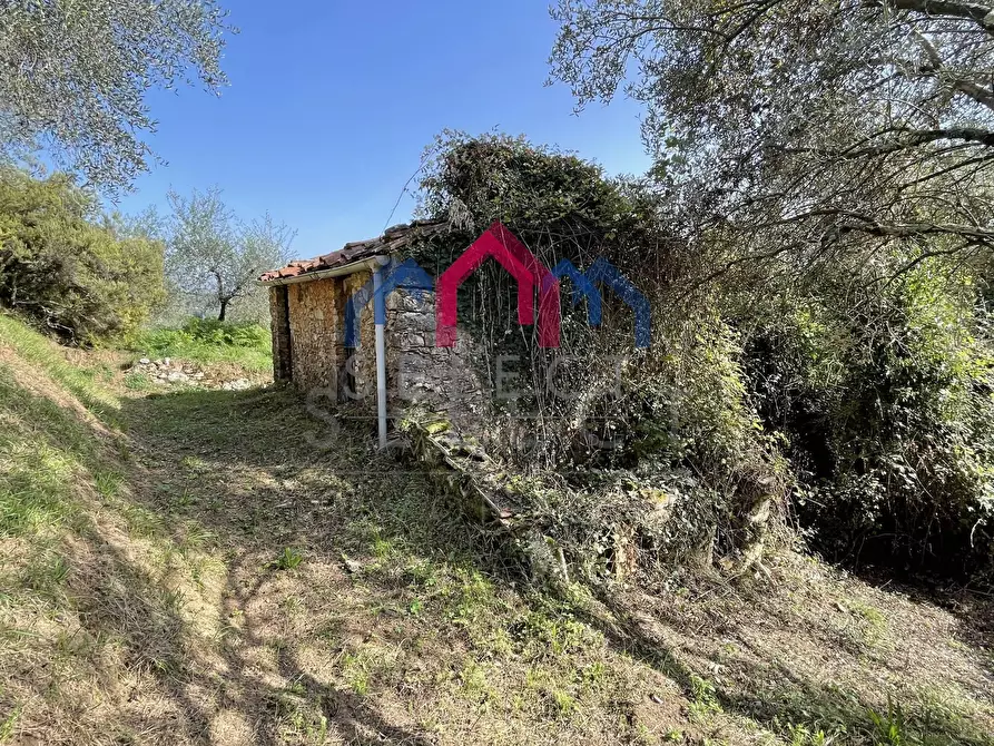 Immagine 22 di Rustico / casale in vendita  a Borgo A Mozzano