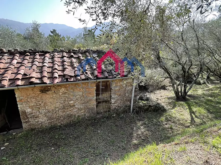 Immagine 36 di Rustico / casale in vendita  a Borgo A Mozzano