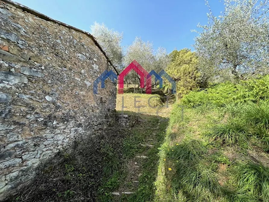 Immagine 12 di Rustico / casale in vendita  a Borgo A Mozzano