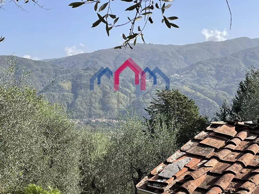 Immagine 34 di Rustico / casale in vendita  a Borgo A Mozzano