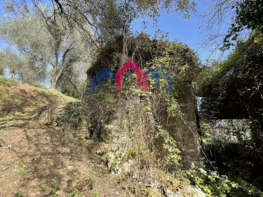Immagine 26 di Rustico / casale in vendita  a Borgo A Mozzano