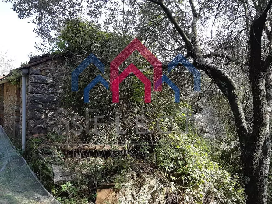 Immagine 44 di Rustico / casale in vendita  a Borgo A Mozzano